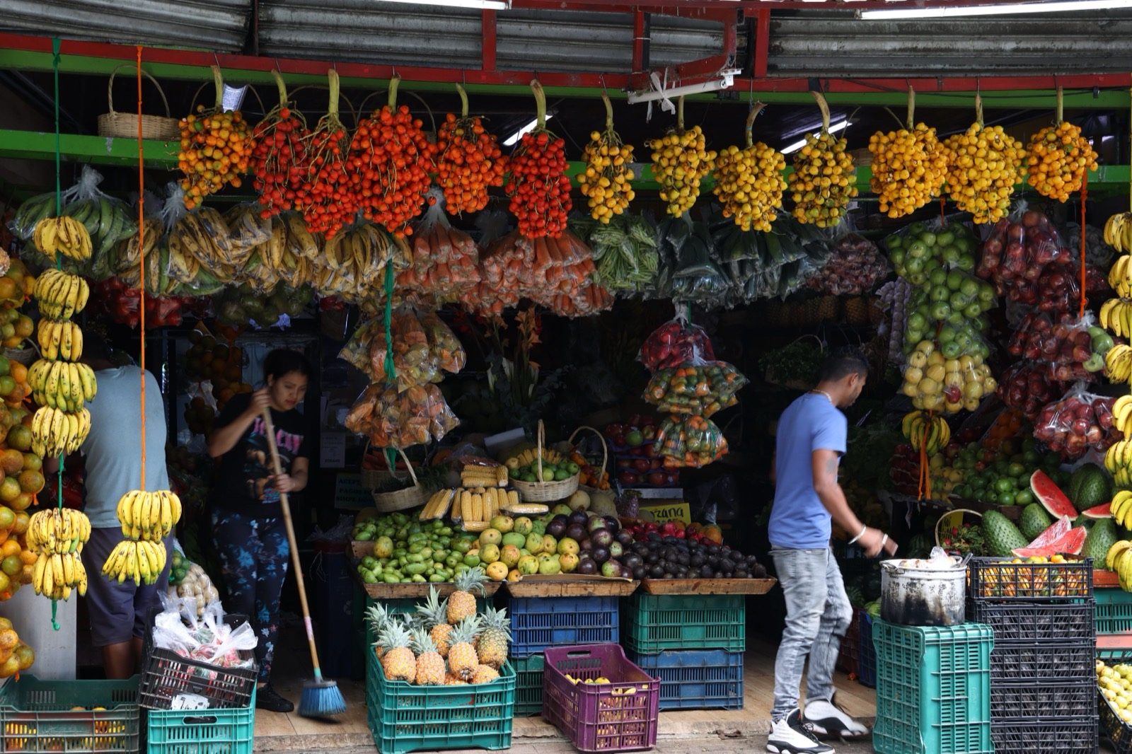 A fruit stand hung with bunches of bananas