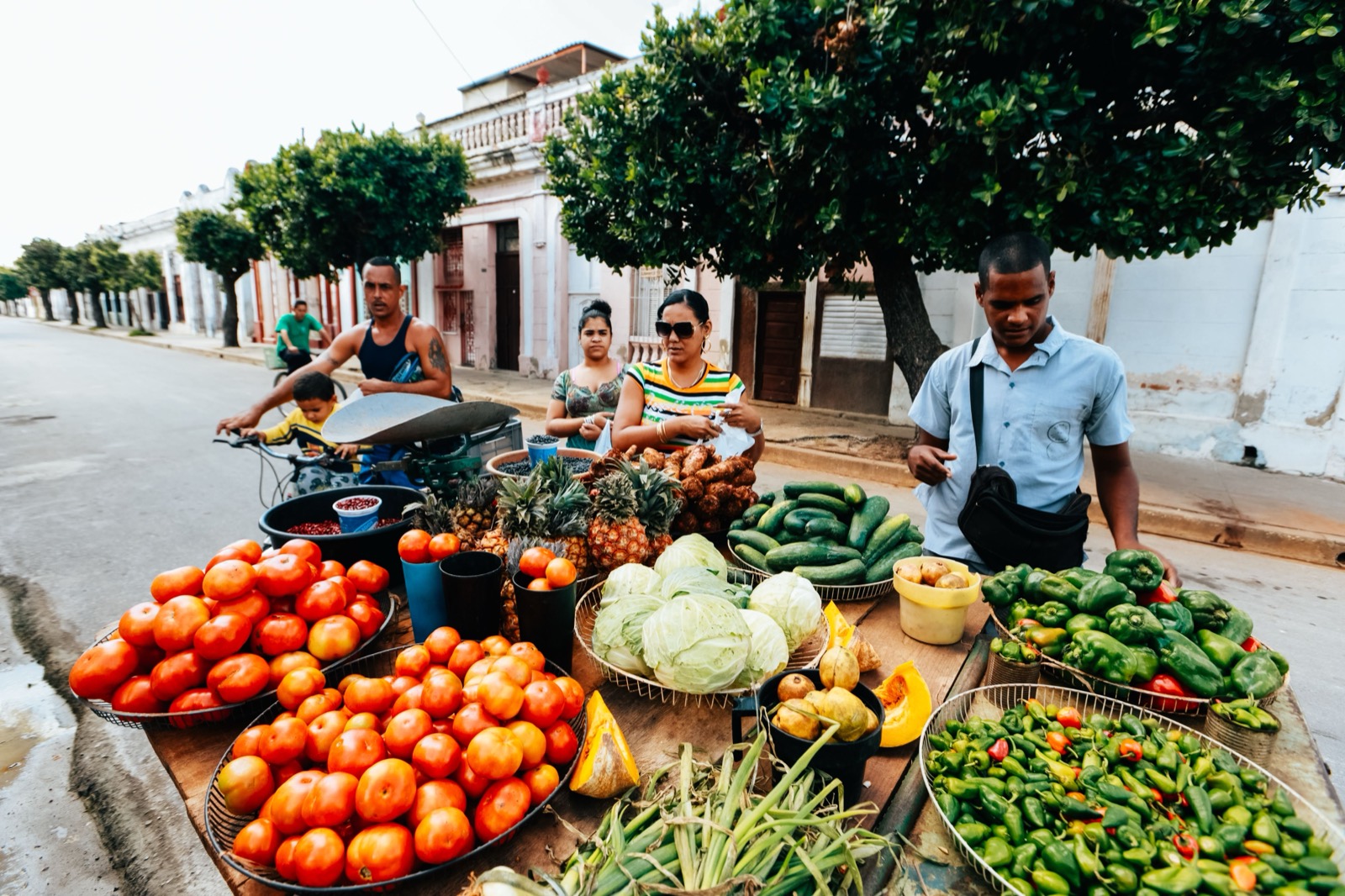 A street market table of tomatoes, cabbages, and peppers under the trees