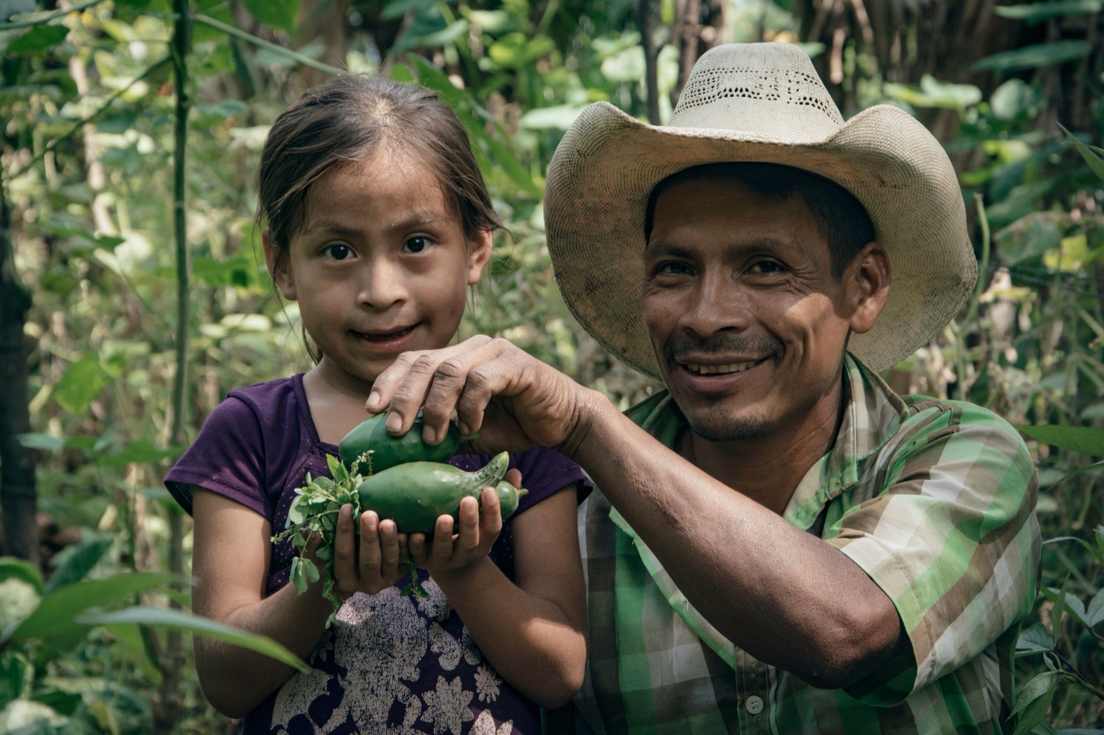 A father and daughter hold fresh cucumbers on their farm