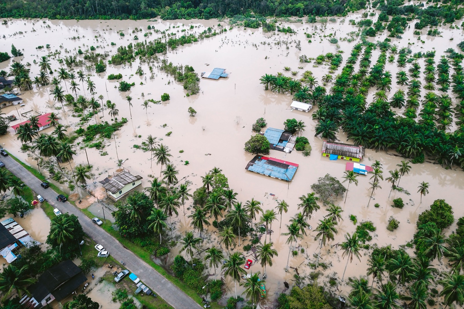 A flooded village between palm trees, seen from above