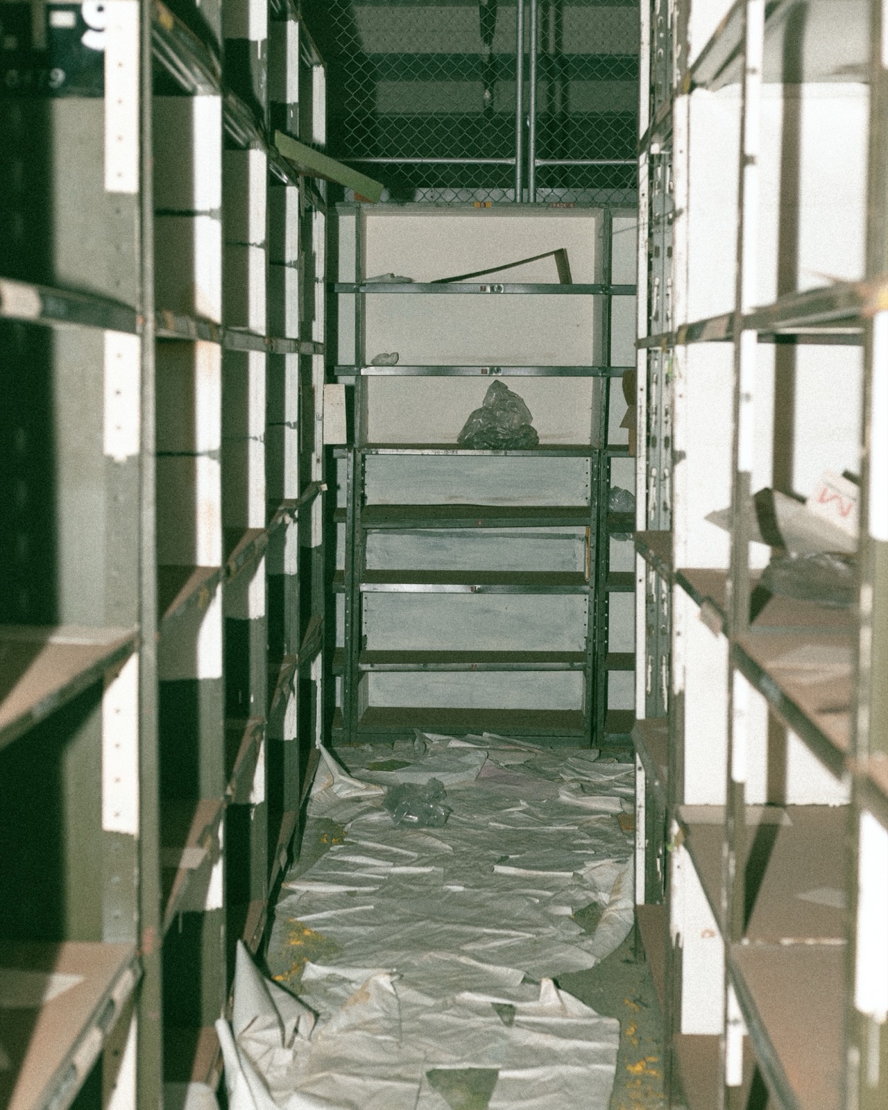Empty green shelves, black and white